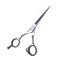 DMI Professional Scissors: 5.0 - Black LEFT