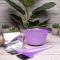 CoolBlades Purple Tinting Sets: 3-Piece + Foil