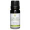 Kaeso Aromatherapy Essential Oils: Fennel - 10ml