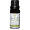 Kaeso Aromatherapy Essential Oils: Basil - 10ml