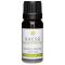 Kaeso Aromatherapy Essential Oils: Sandalwood - 10ml