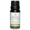Kaeso Aromatherapy Essential Oils: Eucalyptus - 10ml