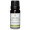 Kaeso Aromatherapy Essential Oils: Cedarwood - 10ml