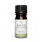 Kaeso Aromatherapy Essential Oils: Neroli - 5ml