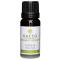 Kaeso Aromatherapy Essential Oils: Cypress - 10ml