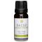 Kaeso Aromatherapy Essential Oils: Tea Tree - 10ml