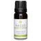 Kaeso Aromatherapy Essential Oils: Lavender - 10ml