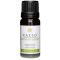 Kaeso Aromatherapy Essential Oils: Orange - 10ml