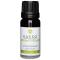Kaeso Aromatherapy Essential Oils: Chamomile - 10ml