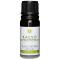 Kaeso Aromatherapy Essential Oils: Black Pepper - 10ml