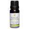 Kaeso Aromatherapy Essential Oils: Patchouli - 10ml