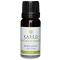 Kaeso Aromatherapy Essential Oils: Bergamot - 10ml