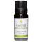 Kaeso Aromatherapy Essential Oils: Marjoram - 10ml