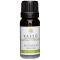 Kaeso Aromatherapy Essential Oils: Petitgrain - 10ml