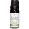 Kaeso Aromatherapy Essential Oils: Rosemary - 10ml