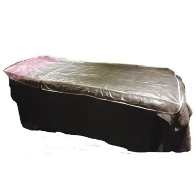 Hair Tools Clear Couch Cover