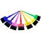 Kobe Rainbow Tint Brush Sets: Large