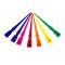 Kobe Rainbow Tint Brush Sets: Small